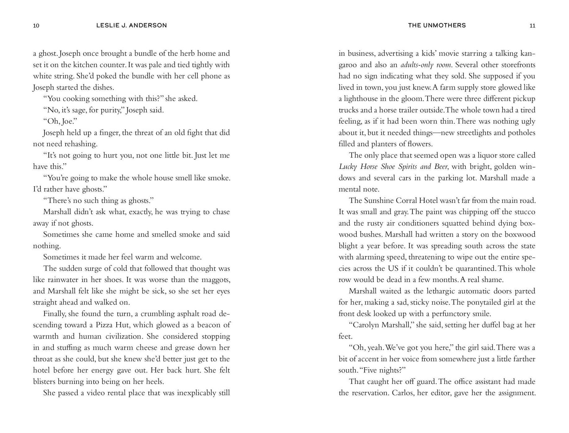 The Unmothers: A Novel