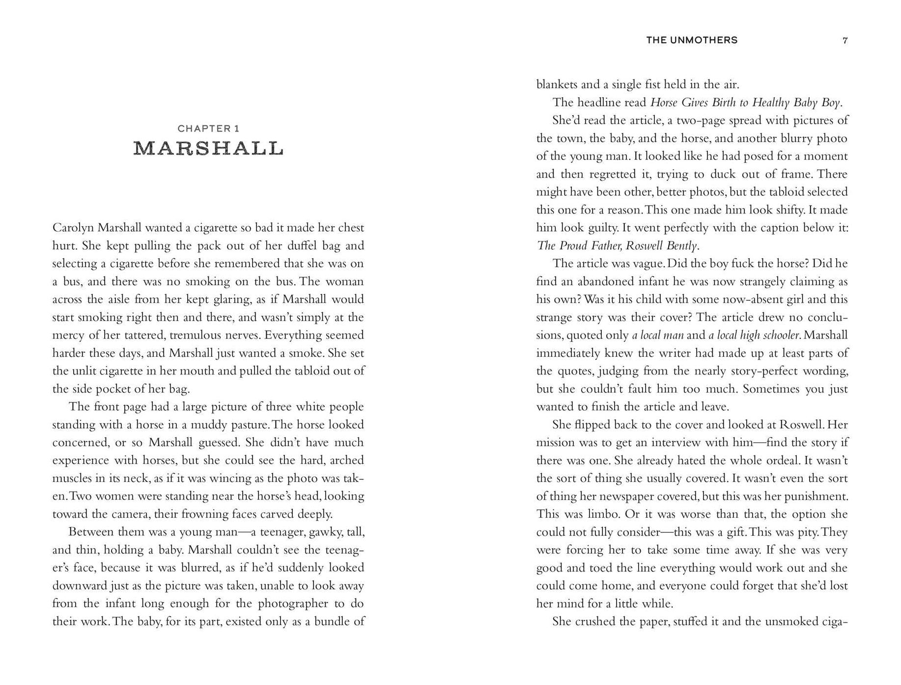 The Unmothers: A Novel