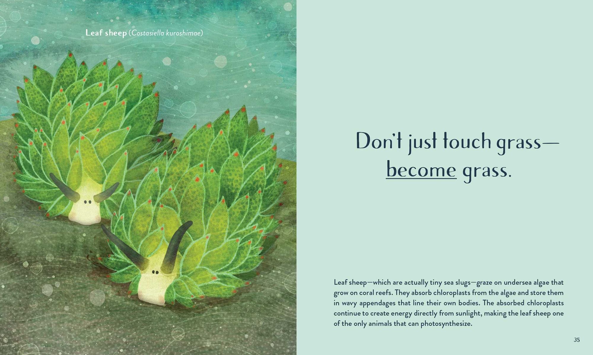 Leaving the Ocean Was a Mistake: Life Lessons from Sixty Sea Creatures