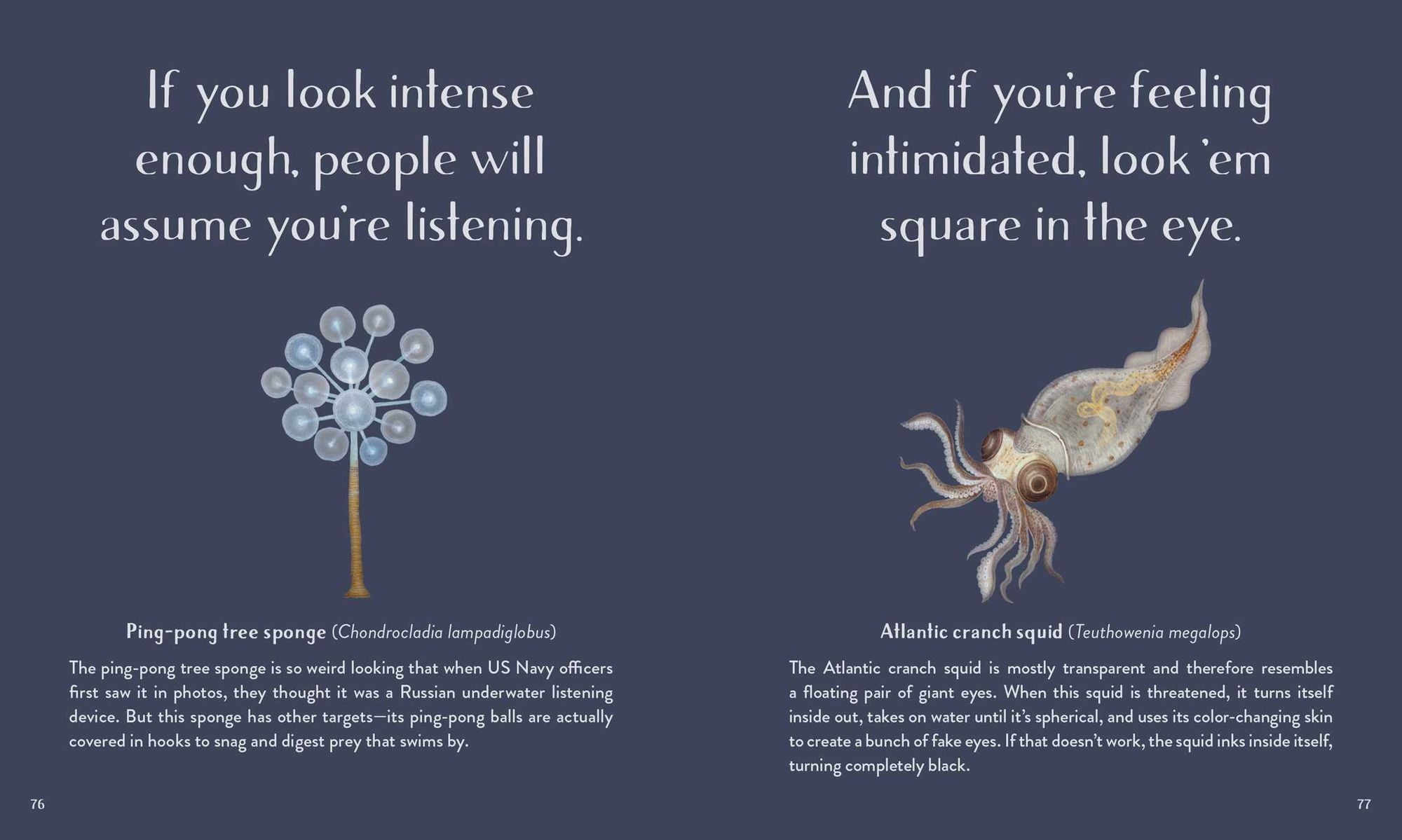 Leaving the Ocean Was a Mistake: Life Lessons from Sixty Sea Creatures