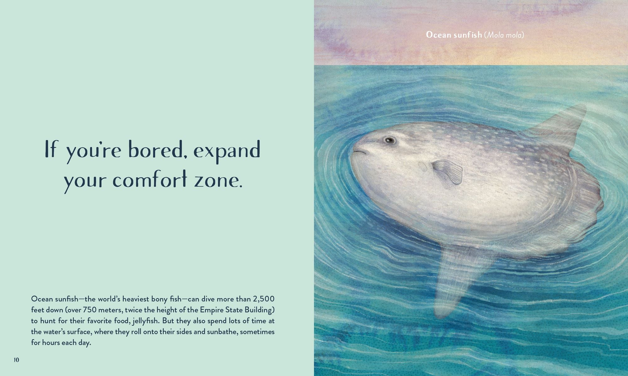 Leaving the Ocean Was a Mistake: Life Lessons from Sixty Sea Creatures