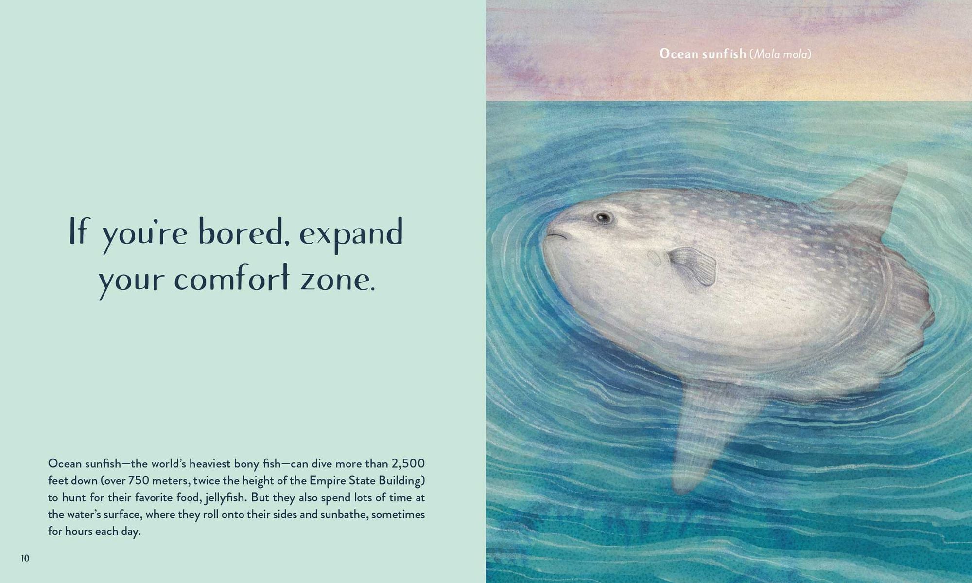 Leaving the Ocean Was a Mistake: Life Lessons from Sixty Sea Creatures