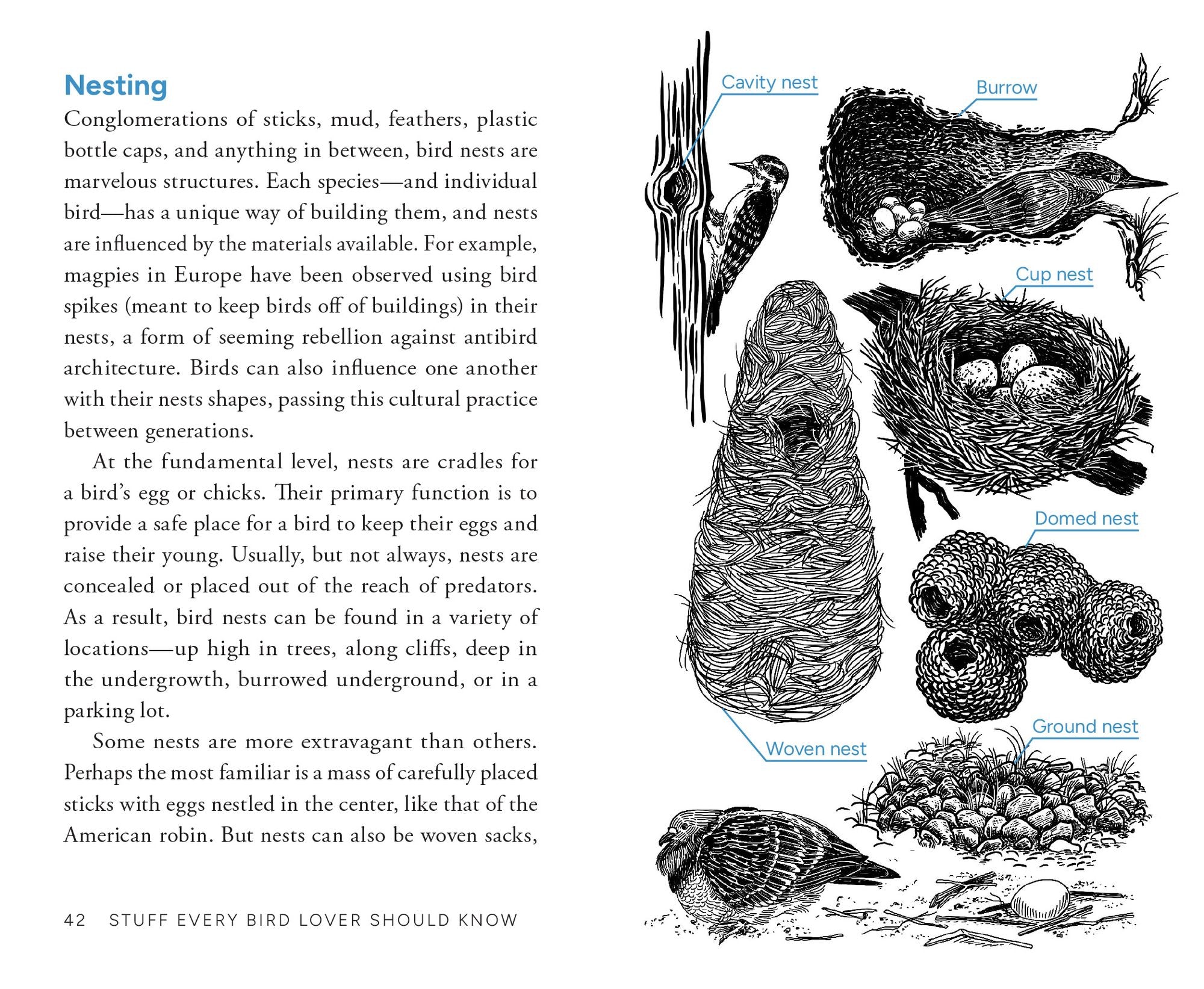 Stuff Every Bird Lover Should Know