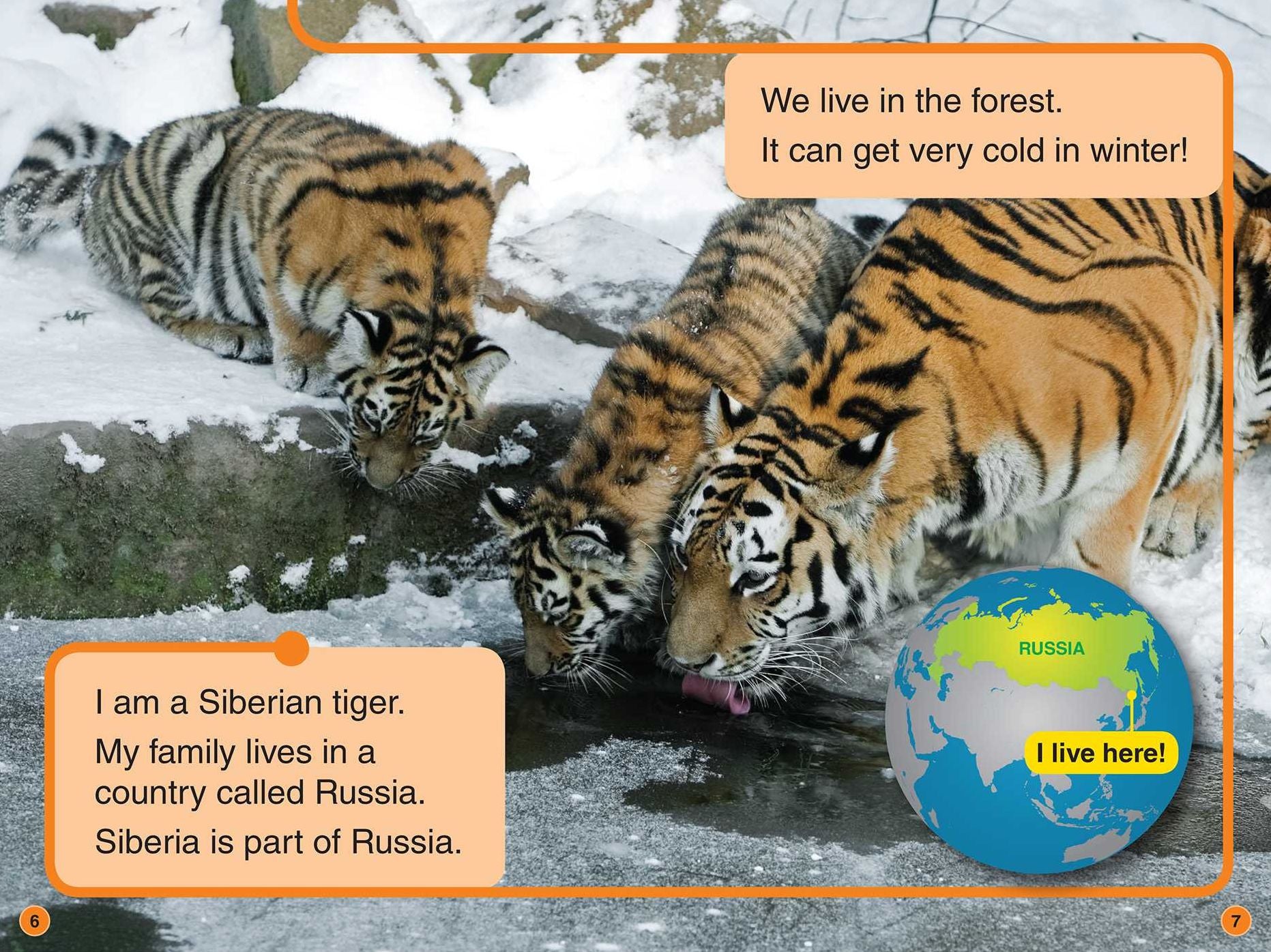 Discovery All-Star Readers: I Am a Tiger Level 1
