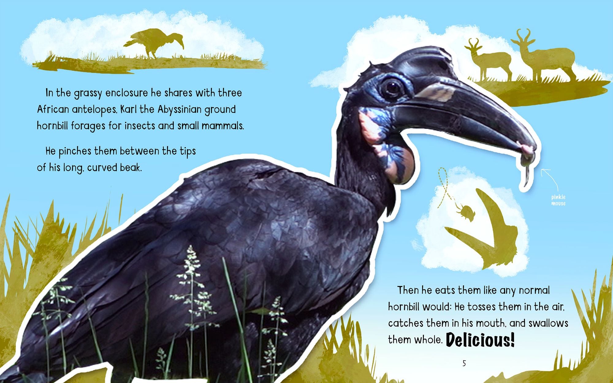 Karl's New Beak: 3-D Printing Builds a Bird a Better Life