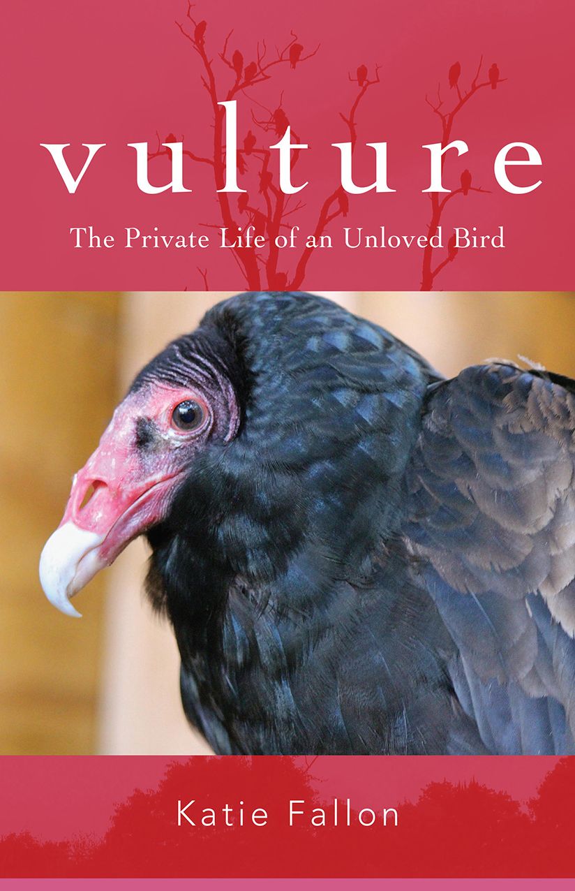 Vulture: The Private Life of an Unloved Bird