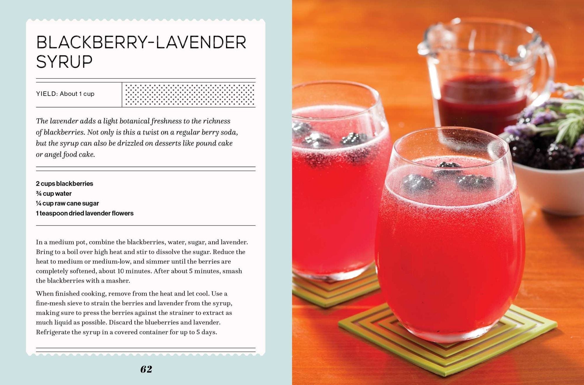 Fizz: 70+ Homemade Artisan Sodas