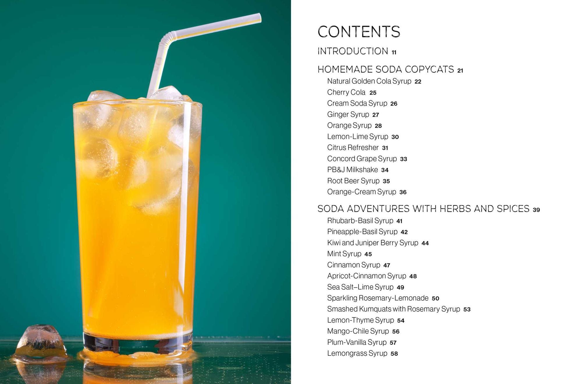 Fizz: 70+ Homemade Artisan Sodas