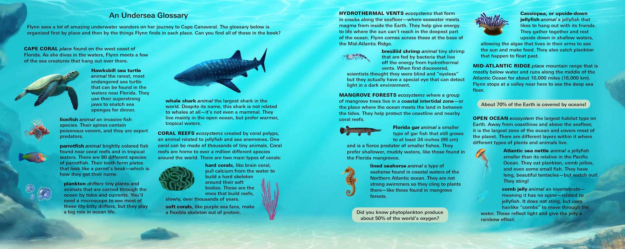 The Fly Who Flew Under the Sea