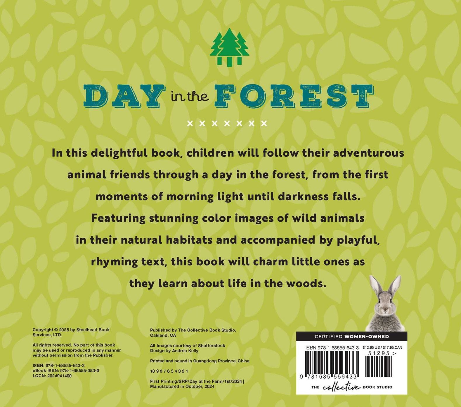 Animal Adventures: Day in the Forest