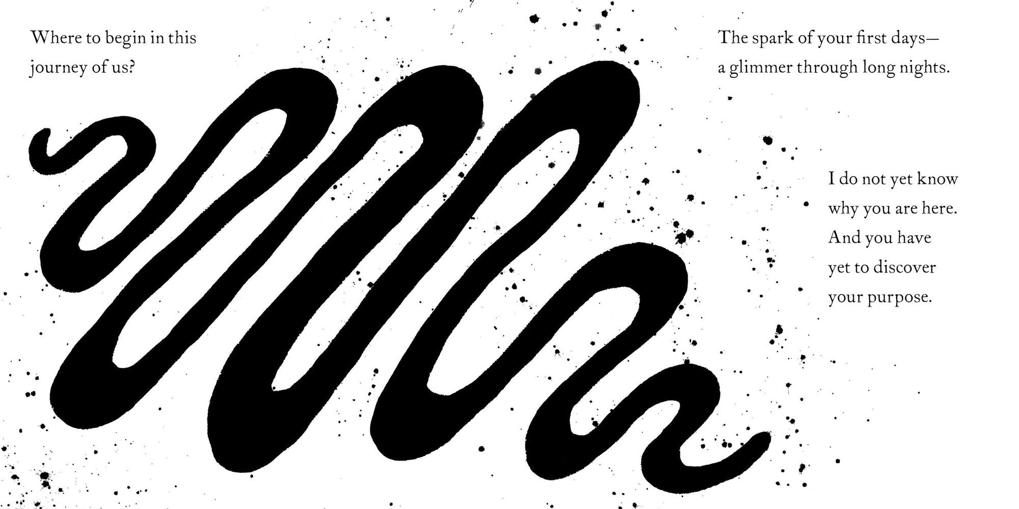 The First Days: A High-Contrast Book for Parents and Babies