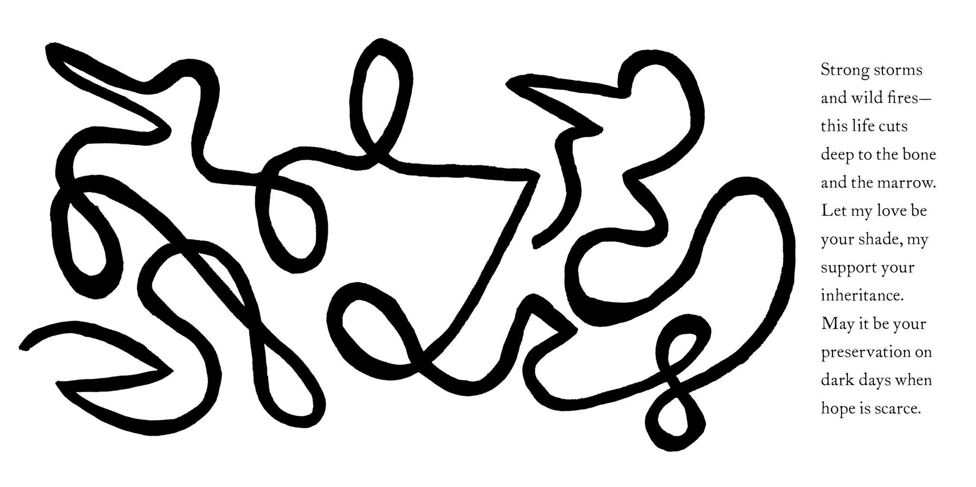 The First Days: A High-Contrast Book for Parents and Babies