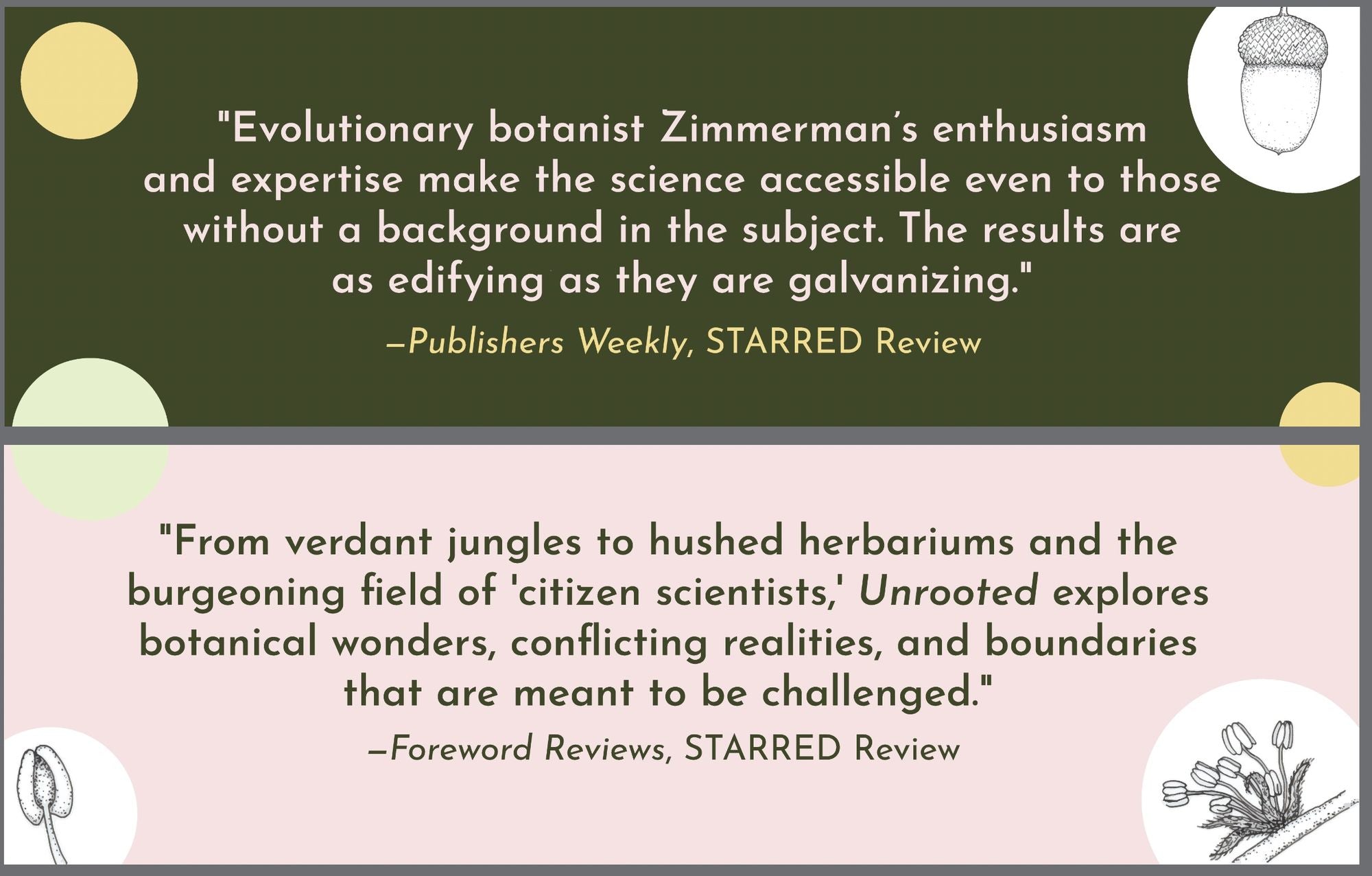 Unrooted: Botany, Motherhood, and the Fight to Save an Old Science