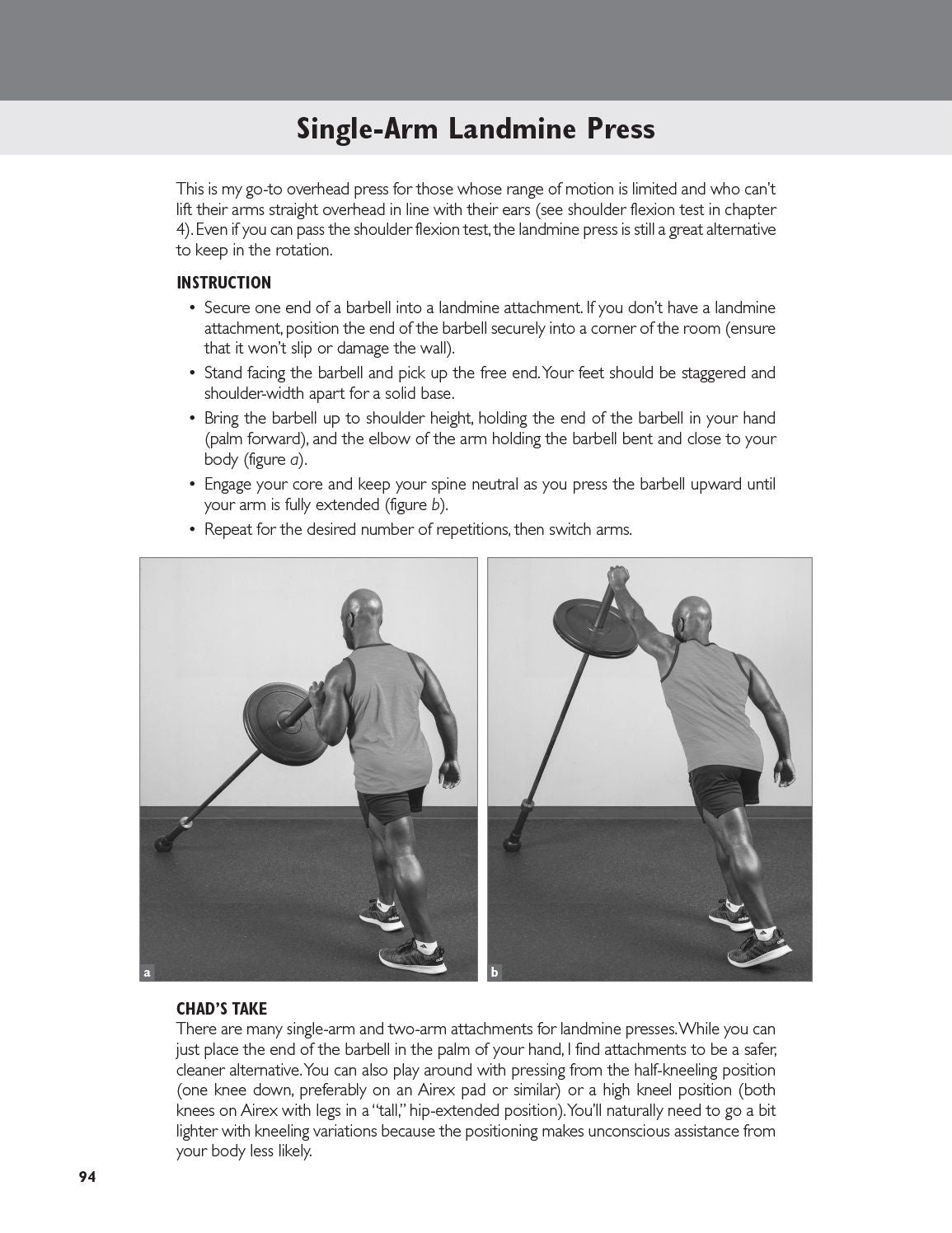 Building Strength and Muscle After 50