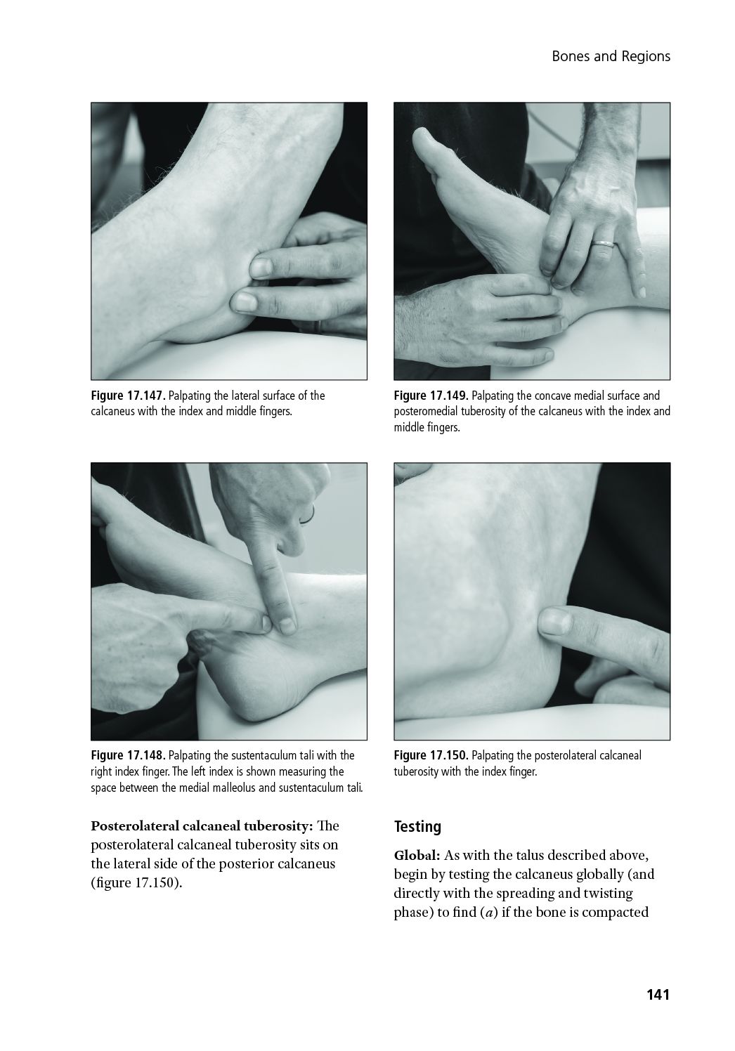 Unwinding Bone: A Complete Guide to Biodynamic Skeletal Therapy for Myofascial and Manual Therapists