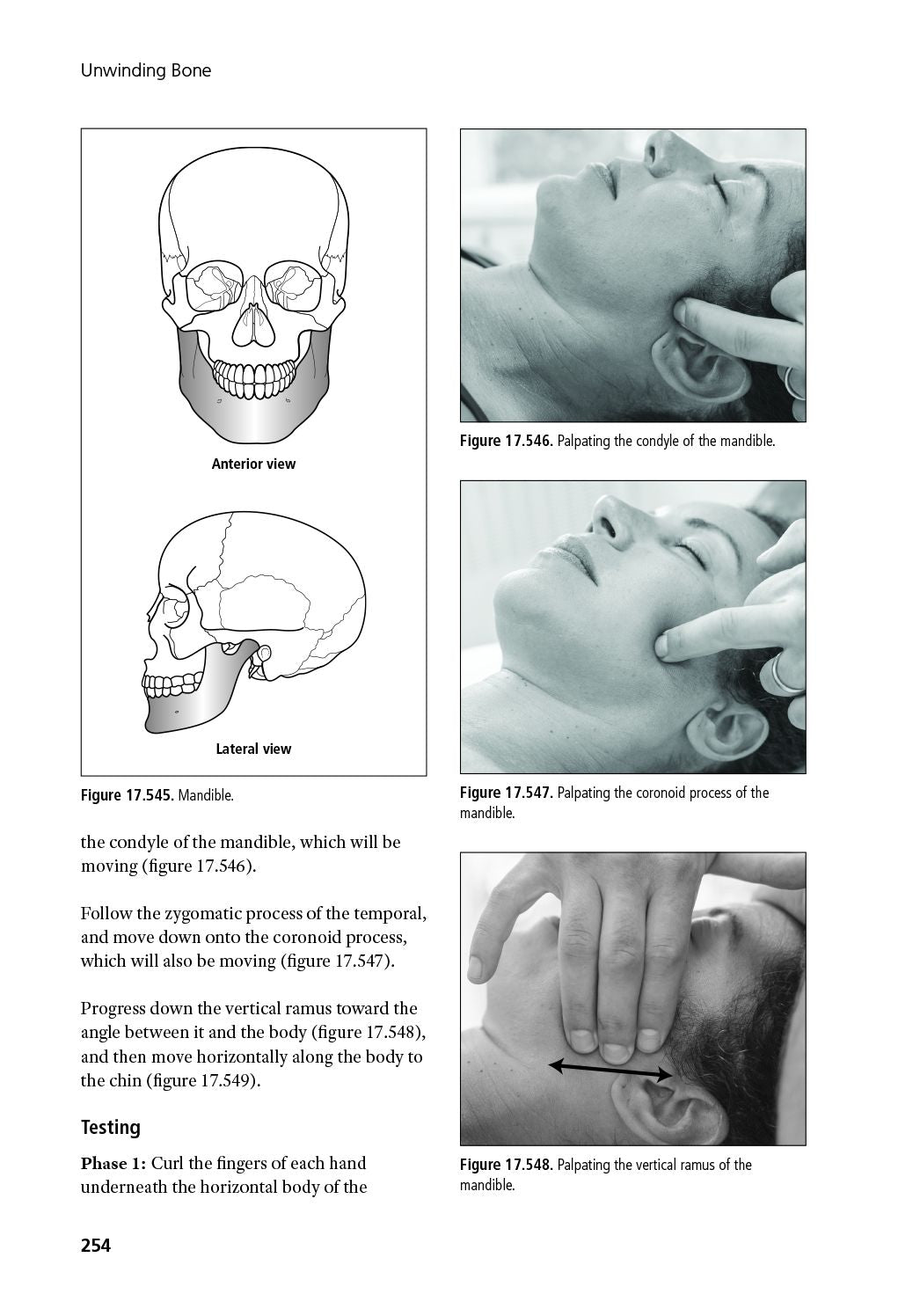 Unwinding Bone: A Complete Guide to Biodynamic Skeletal Therapy for Myofascial and Manual Therapists