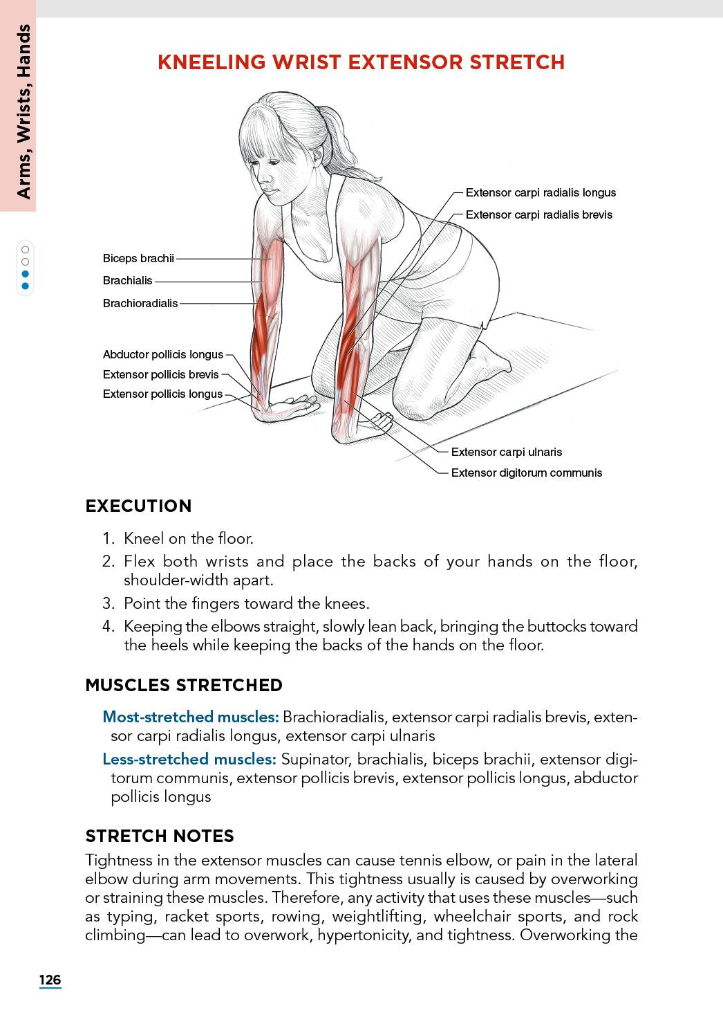 Stretching Anatomy