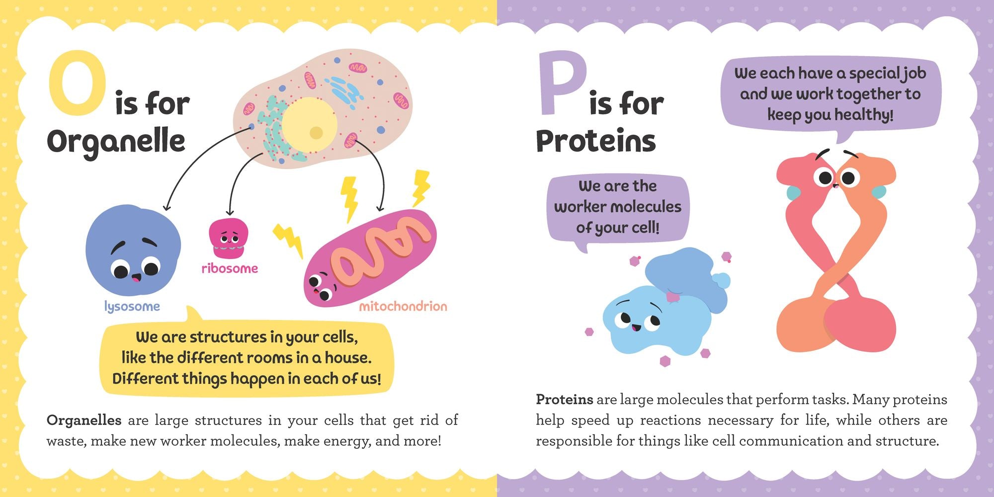 ABCs of Biochemistry
