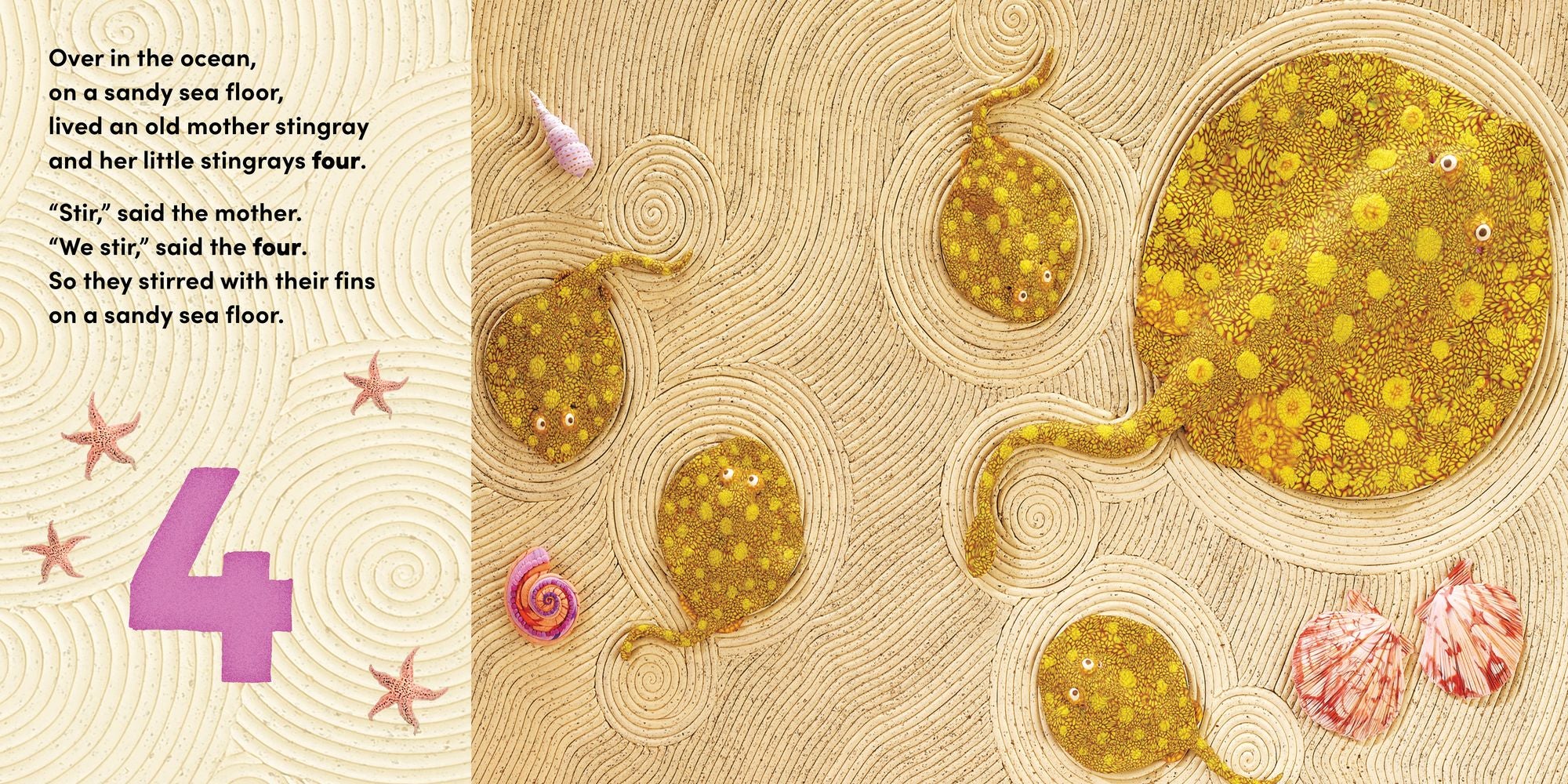 Over in the Ocean: A beach baby animal habitat book