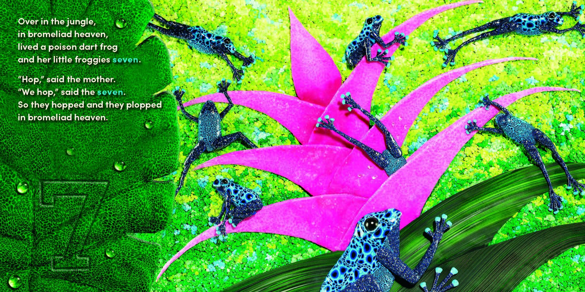 Over in the Jungle: A rain forest baby animal counting book