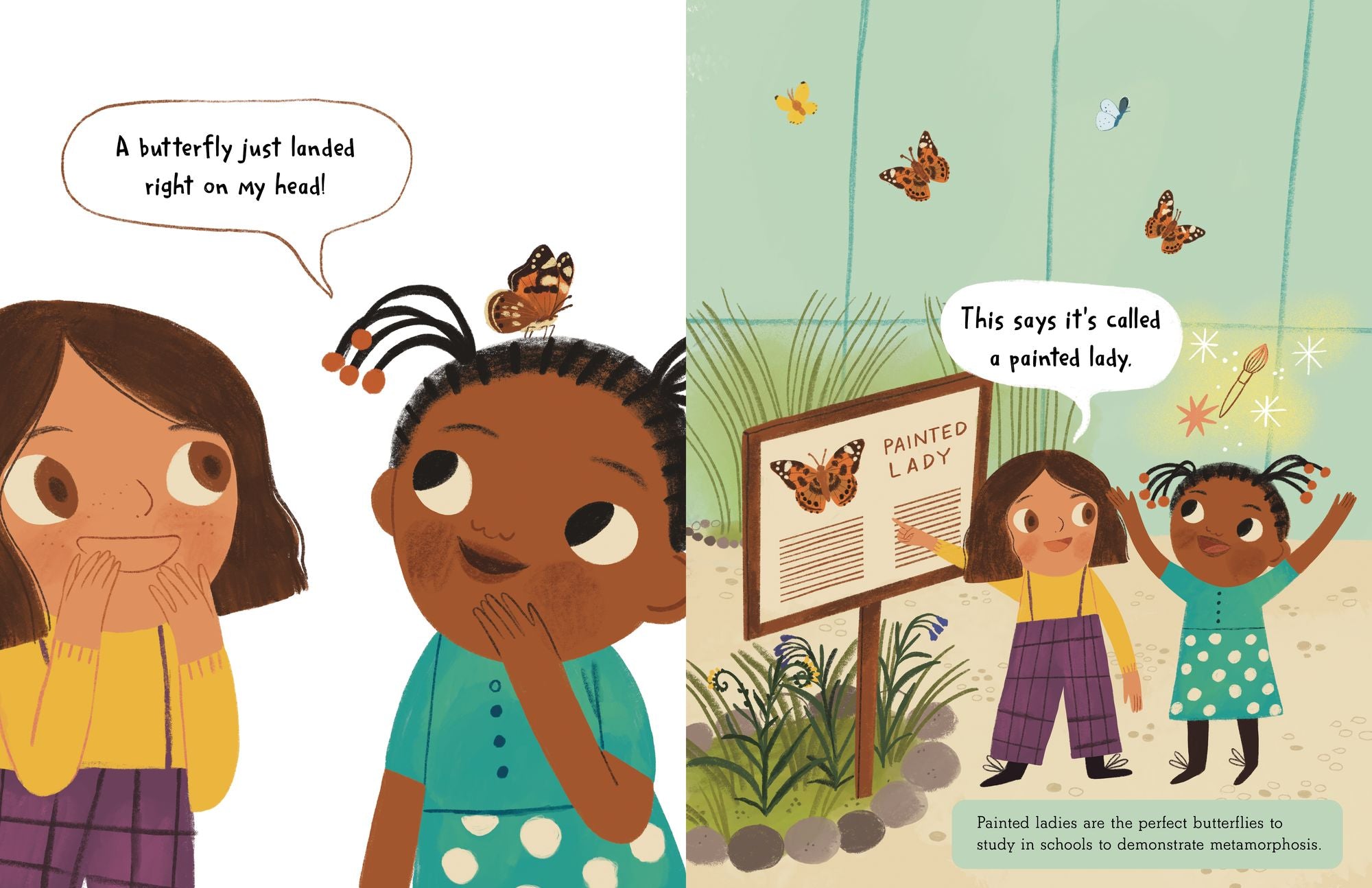 The Story of a Butterfly: Learn about the life cycle and habitat of the Painted Lady