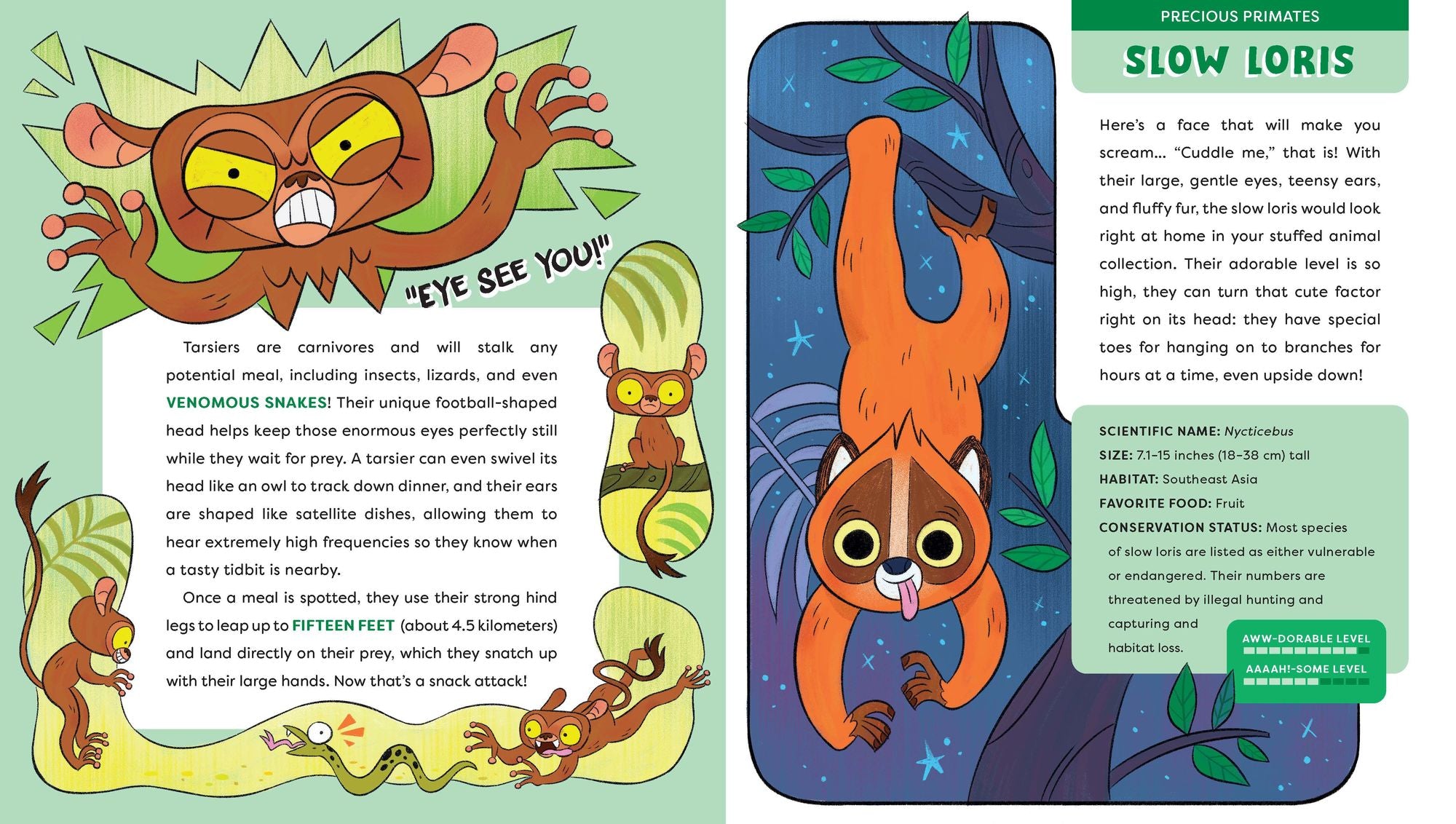 Cute Animals That Could Kill You Dead