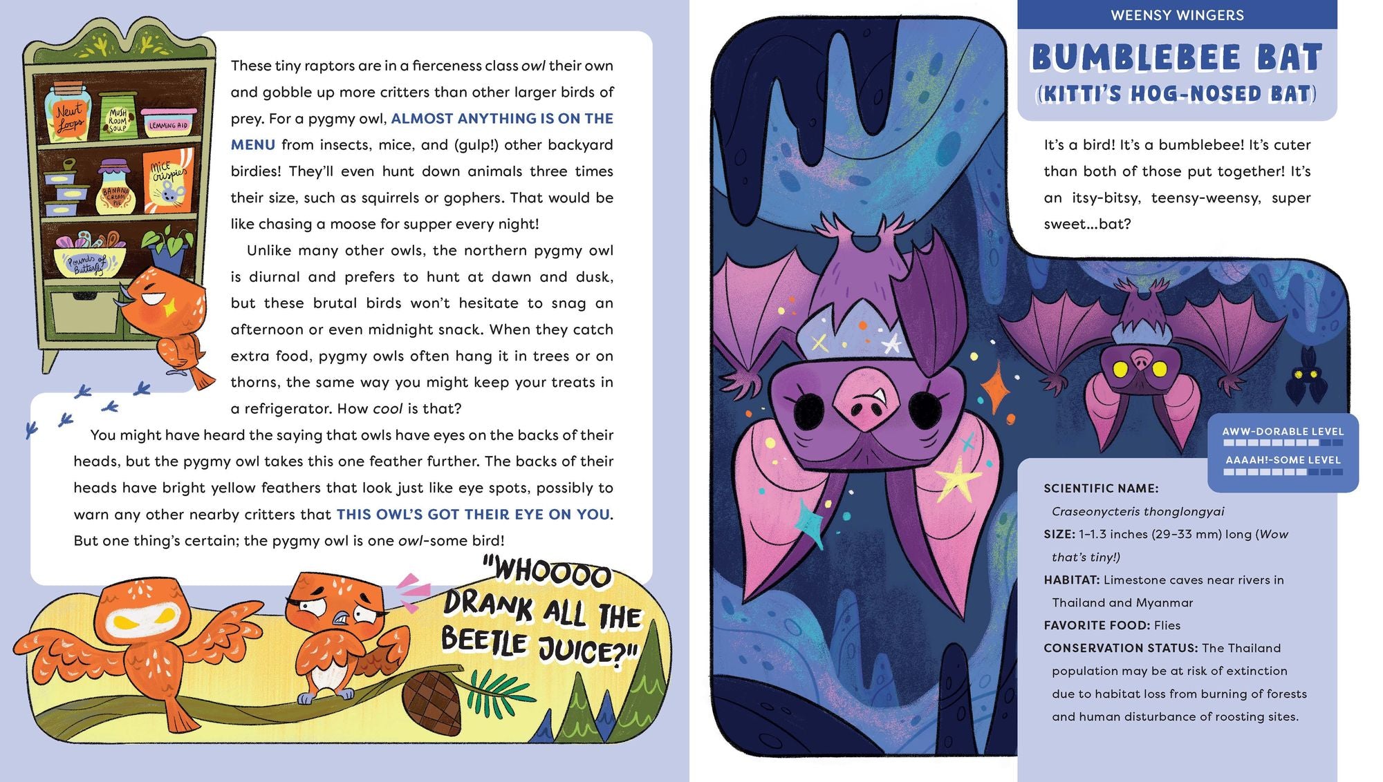 Cute Animals That Could Kill You Dead