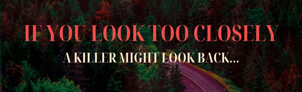 Don't Look Close: A Novel