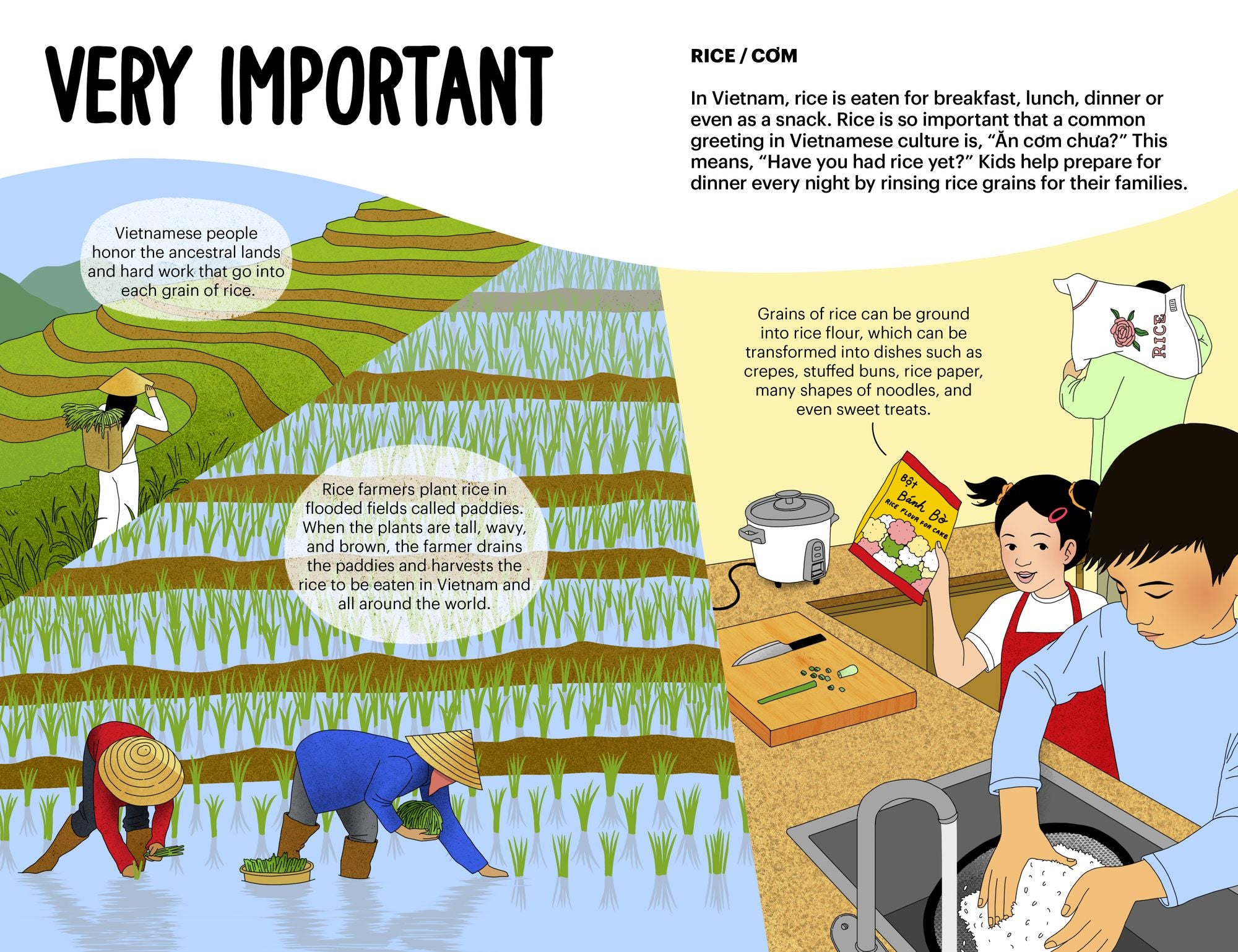 A Very Asian Guide to Vietnamese Food