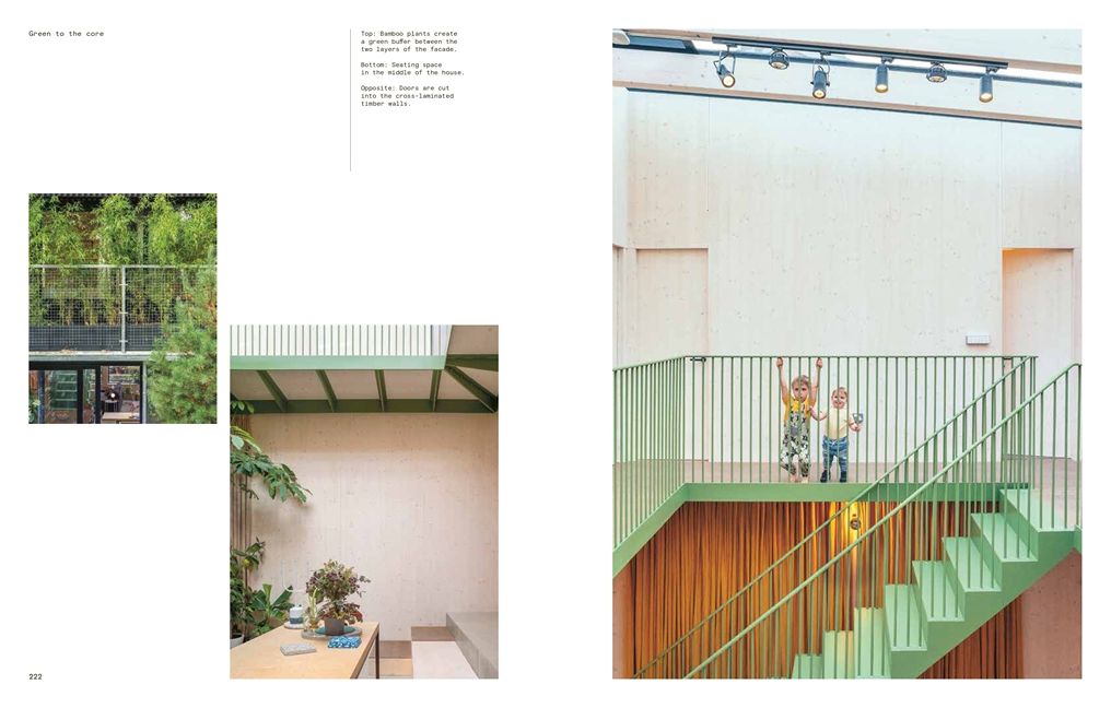 The New Sustainable House: Planet-Friendly Home Design