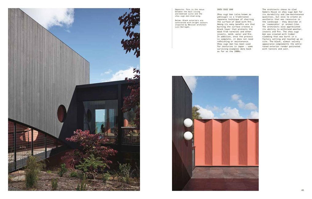 The New Sustainable House: Planet-Friendly Home Design