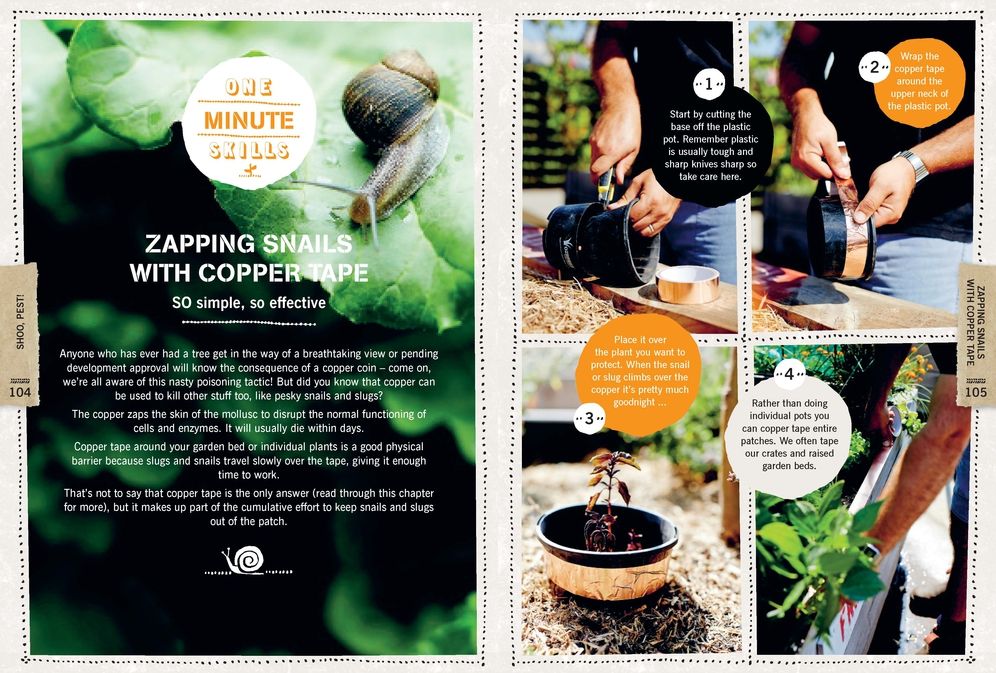 1-Minute Gardener: Quick & Easy Activities to Help You Grow Your Own Food