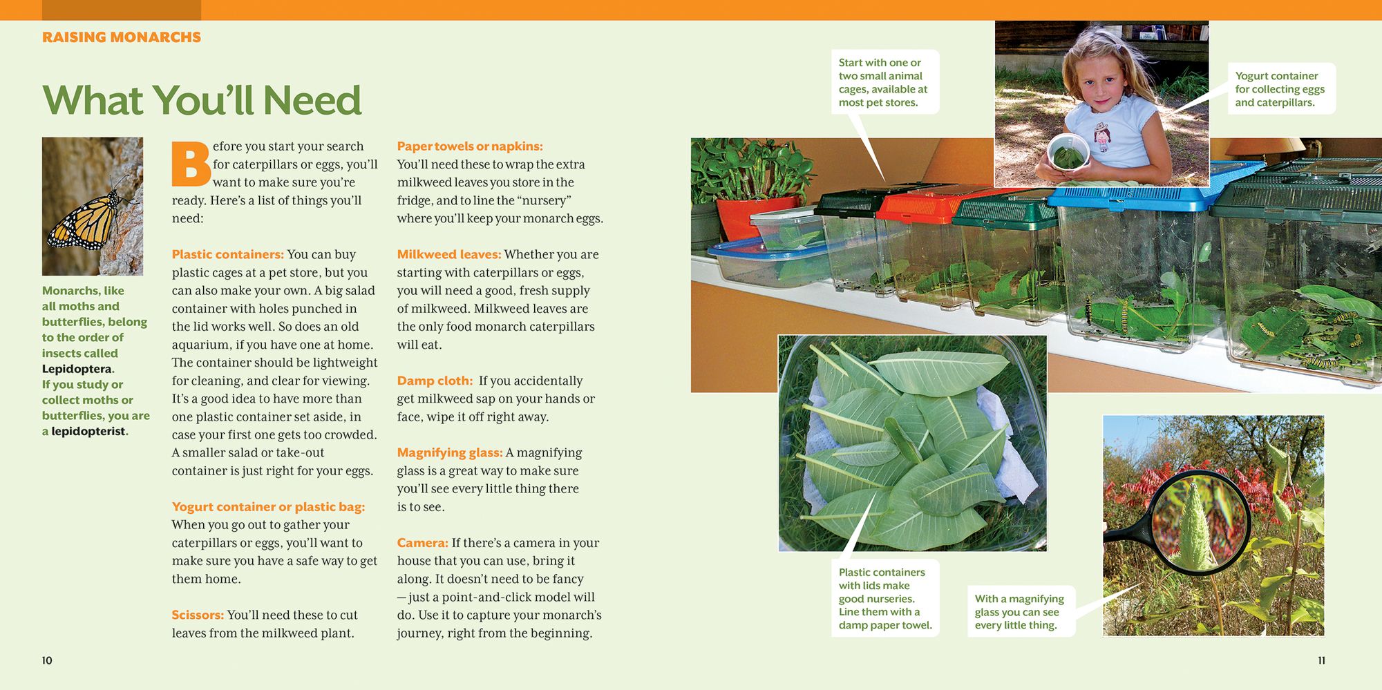 How to Raise Monarch Butterflies: A Step-by-Step Guide for Kids