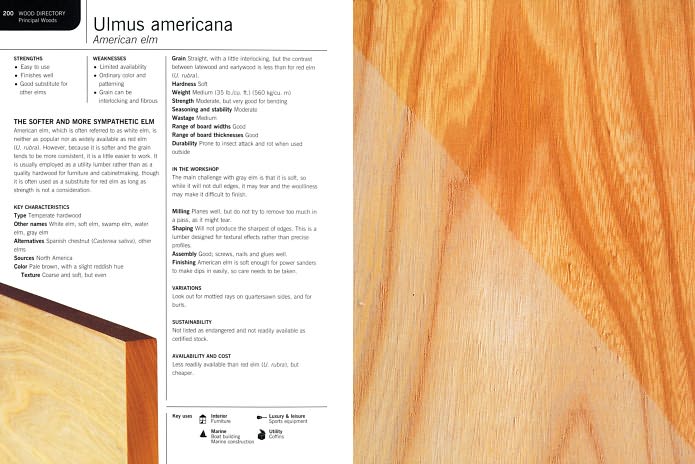 The Real Wood Bible: The Complete Illustrated Guide to Choosing and Using 100 Decorative Woods