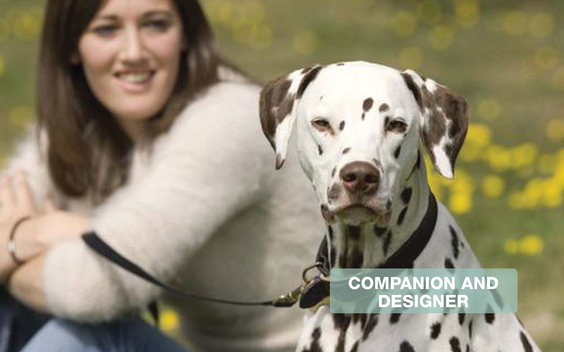 Every Dog: A Book of Over 450 Breeds