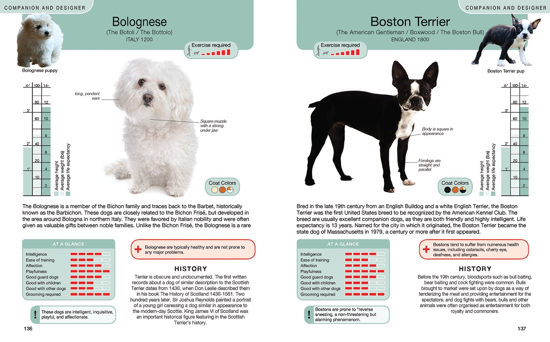 Every Dog: A Book of Over 450 Breeds