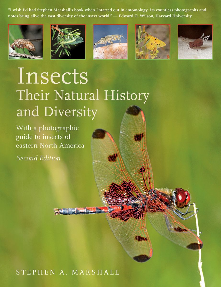 Insects: Their Natural History and Diversity: With a Photographic Guide to Insects of Eastern North America