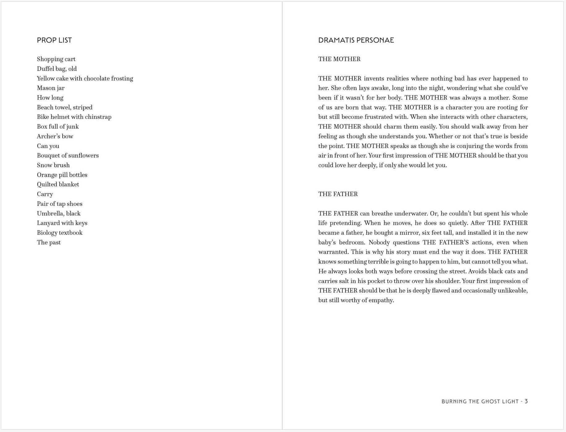 Burning the Ghost Light: Poems