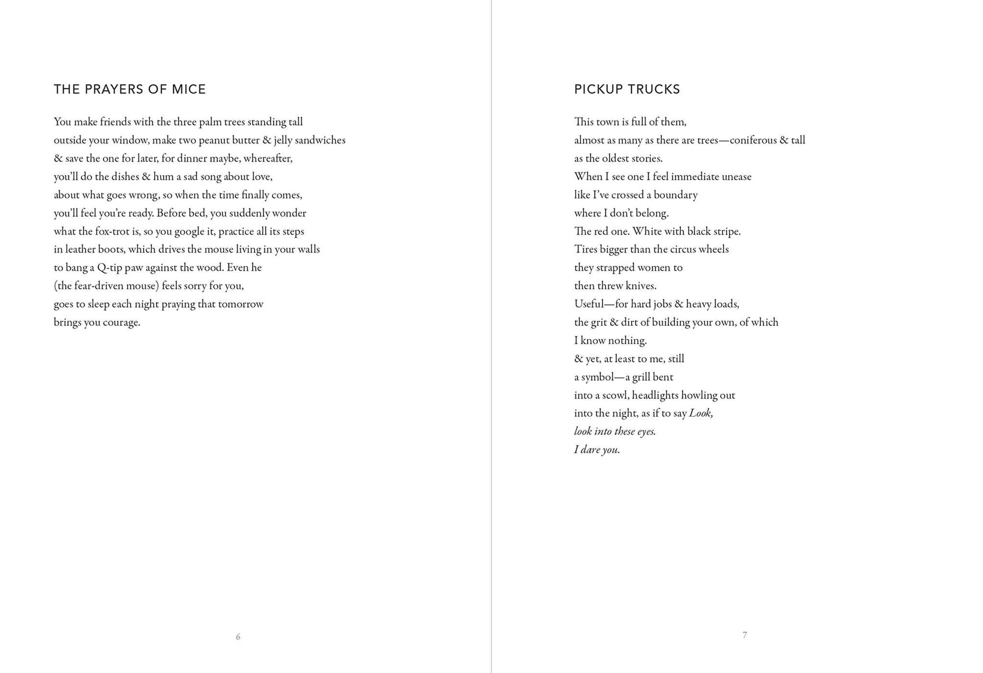 In the Middle of a Better World: Poems