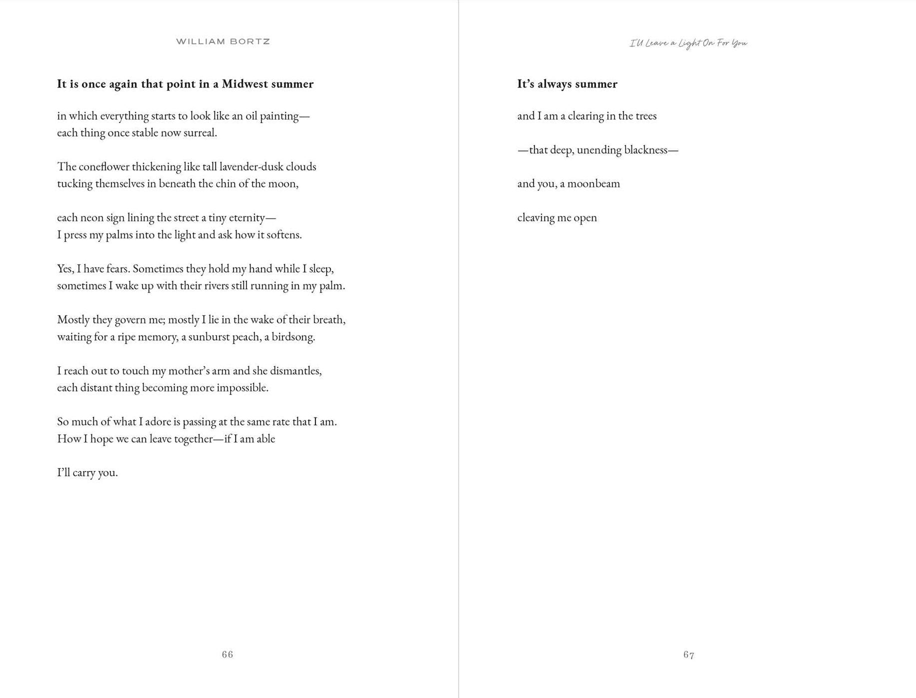 I'll Leave a Light On for You: Poems