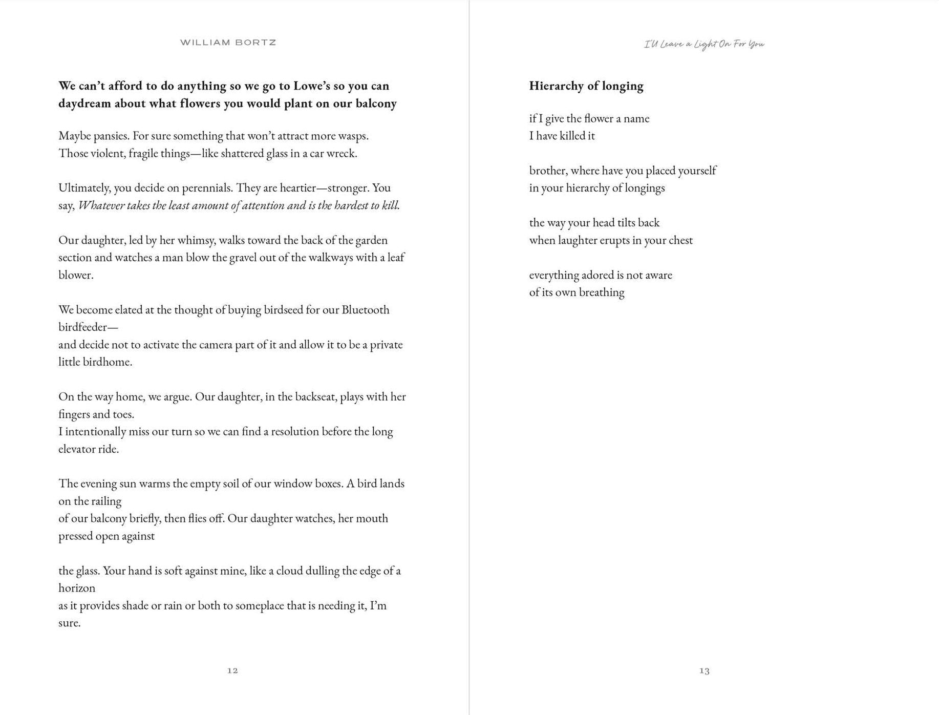 I'll Leave a Light On for You: Poems