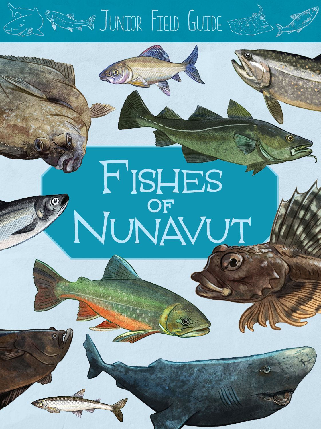Junior Field Guide: Fishes of Nunavut: English Edition