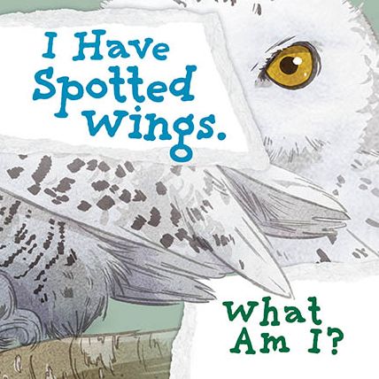 I Have Spotted Wings. What Am I?