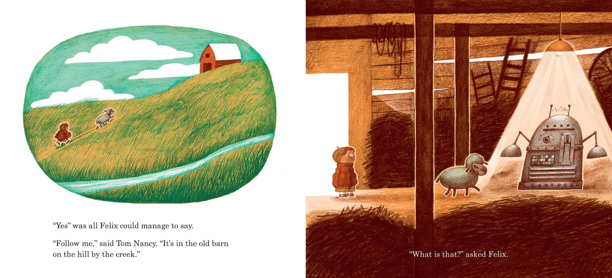 Tom Nancy: The Sheep Who Swapped Brains with a Boy