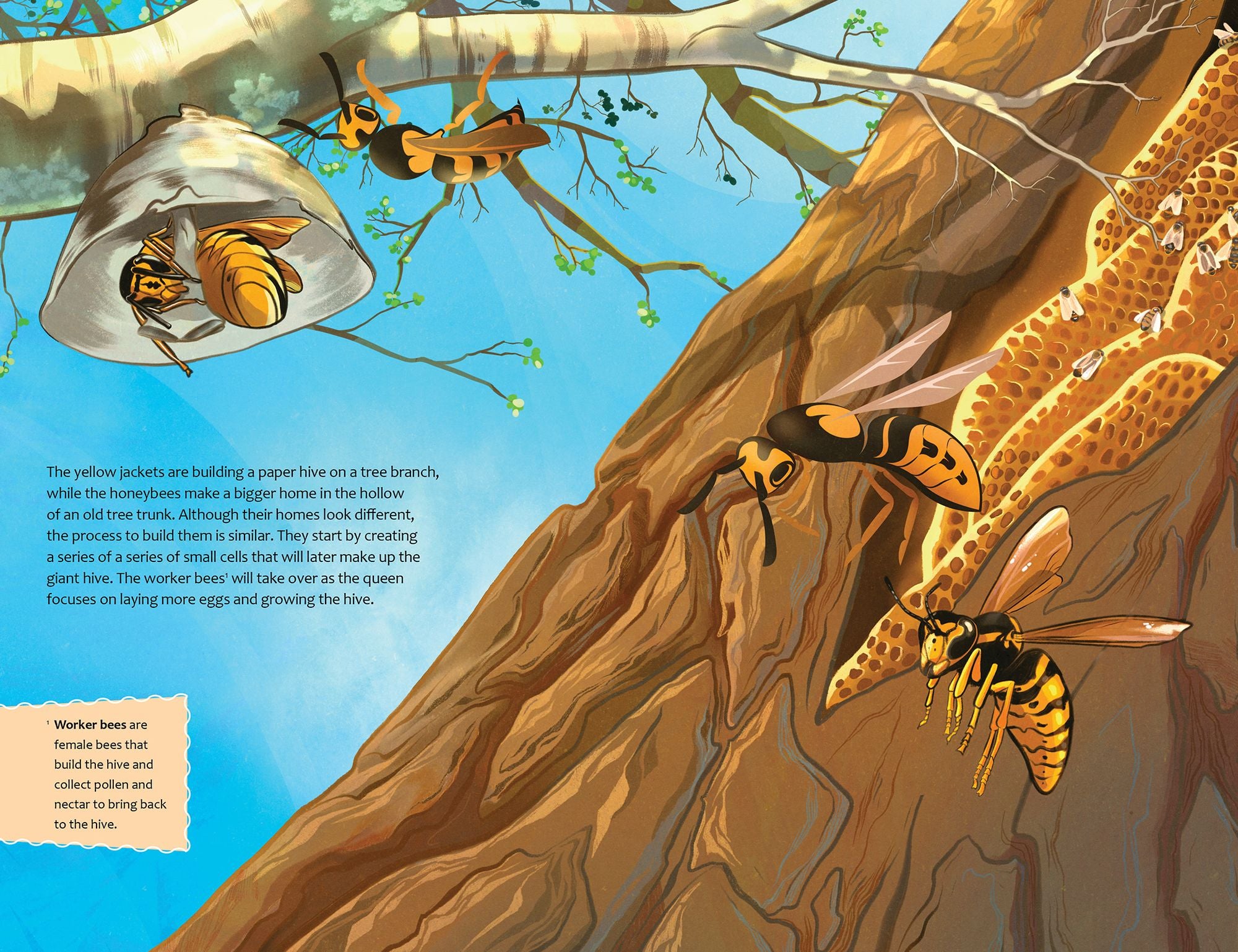 The Bee Mother