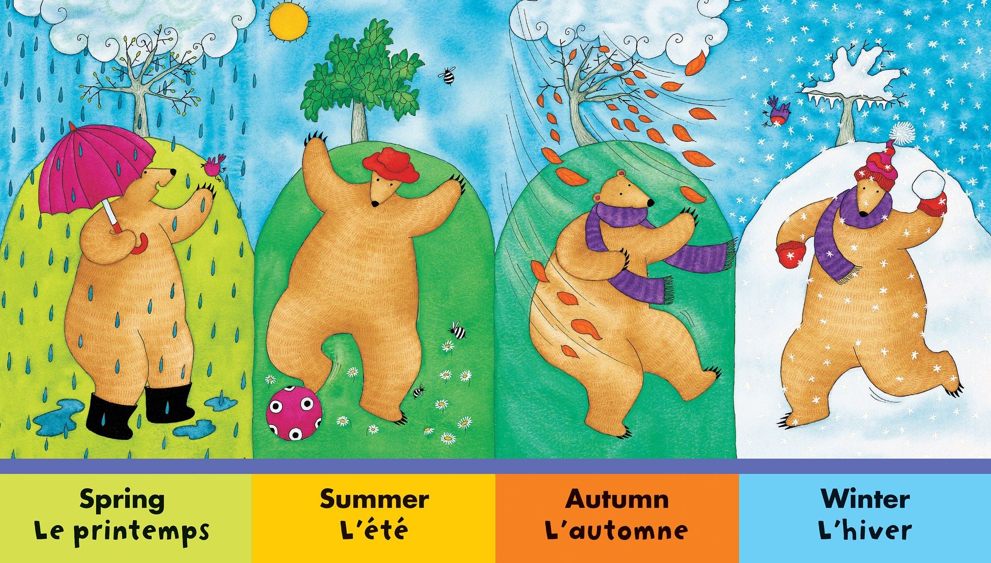 Bear in Sunshine / Ours en soleil