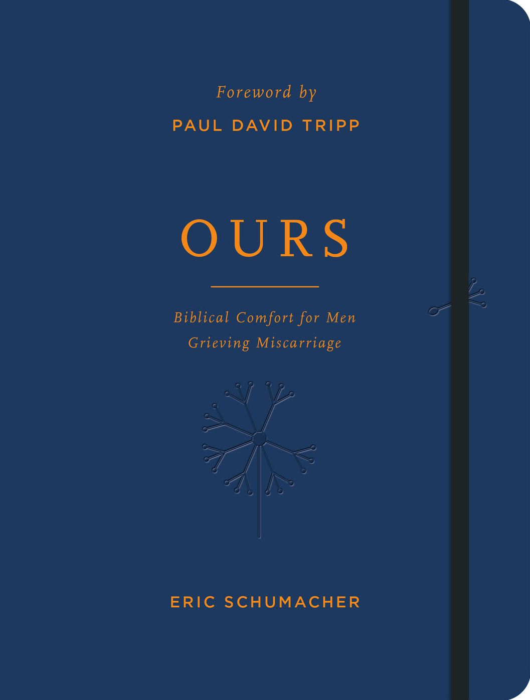 Ours: Biblical Comfort for Men Grieving Miscarriage