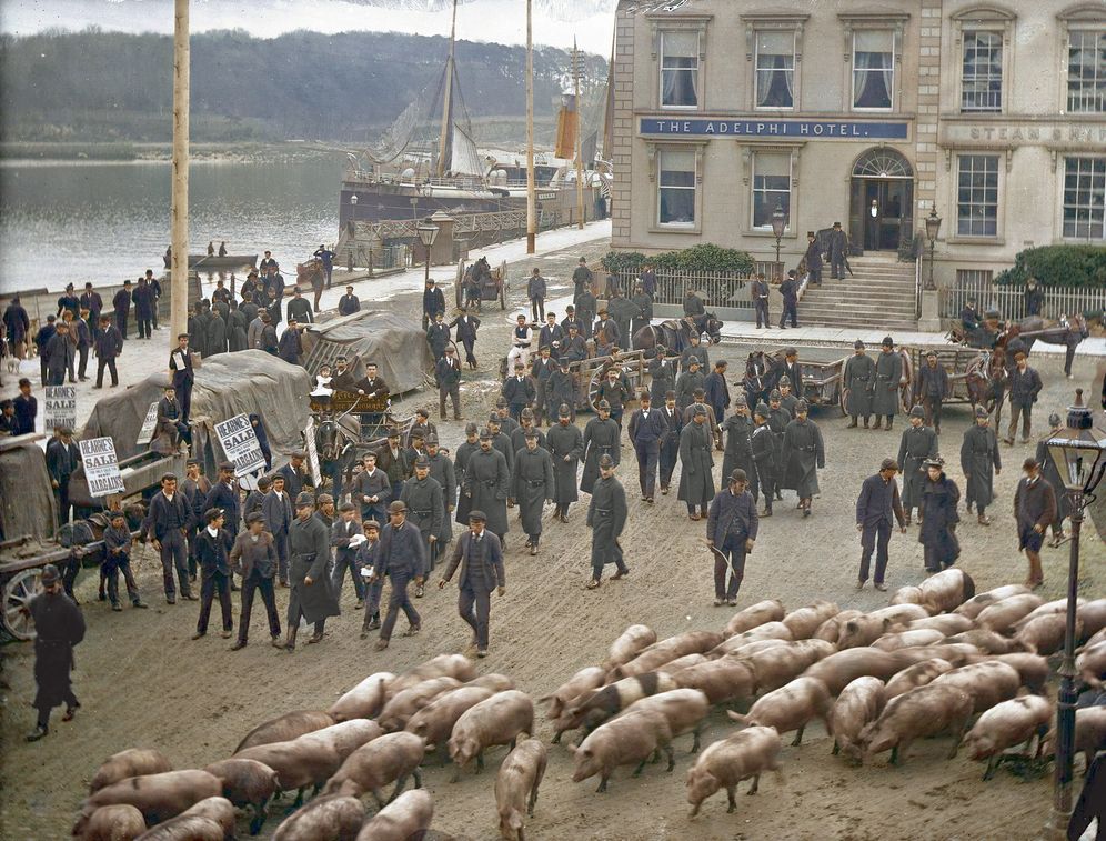 Old Ireland in Colour 2