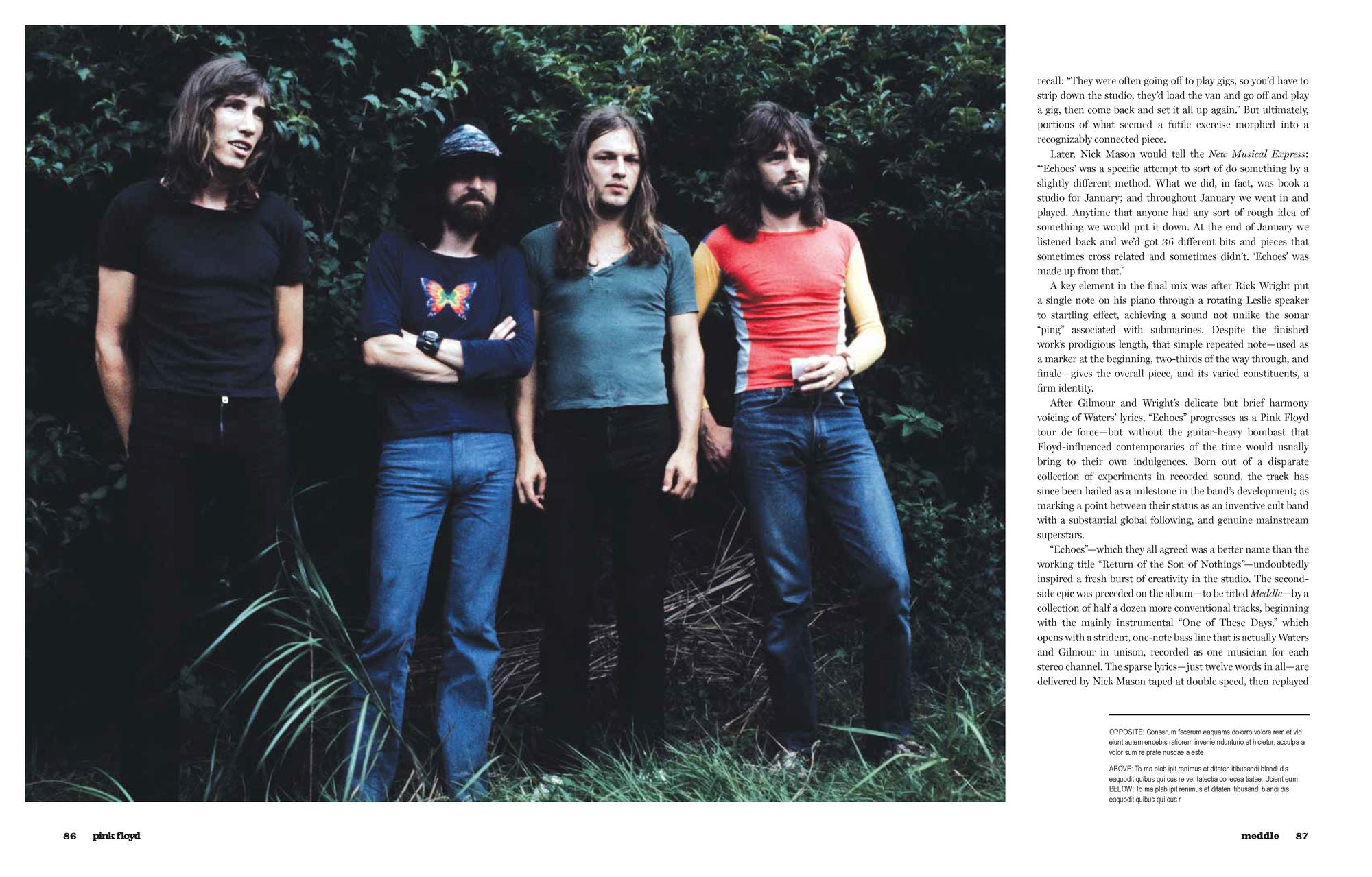 Pink Floyd: Behind the Music