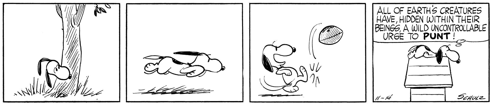 Peanuts: All This And Snoopy, Too